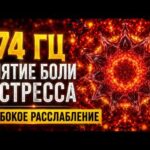 «Stake VIP» безкаштовныя спіны: частата